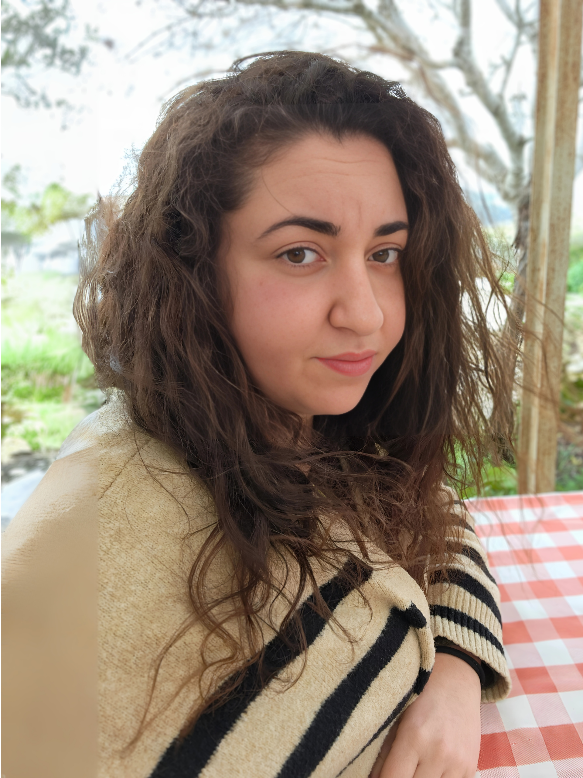 תמונת תדמית